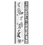 Arden Creative Studio Field Notes PET Tape Set (FN26)