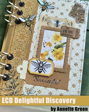 Delightful Discovery