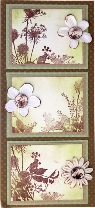 Botanical Tile Trio by Chris Scott
