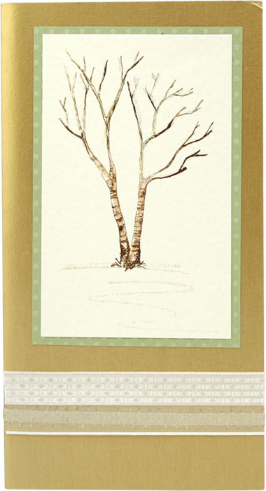 Bare Birch Tree by Gina Martin
