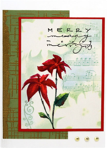 Merry Christmas Poinsettias by Lady Stampalot
