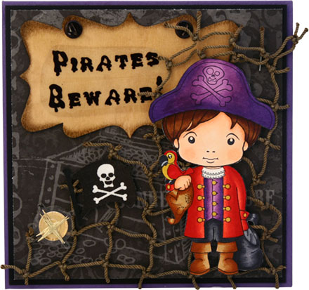 Pirates Beware by Customer Submission