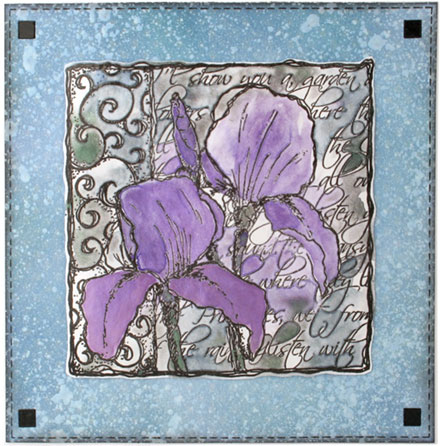 Purple Iris by Kim Reygate