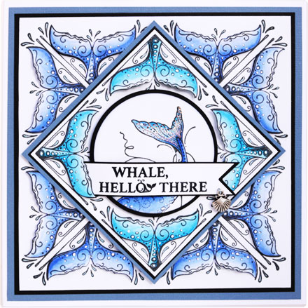 Whale, Hello There by Sara Rosamond