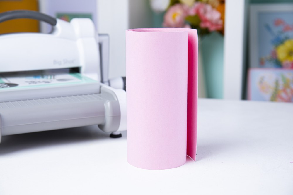 Sizzix Texture Roll 6x48 Inch Ballet Slipper cardstock roll from the Surfacez range - 3
