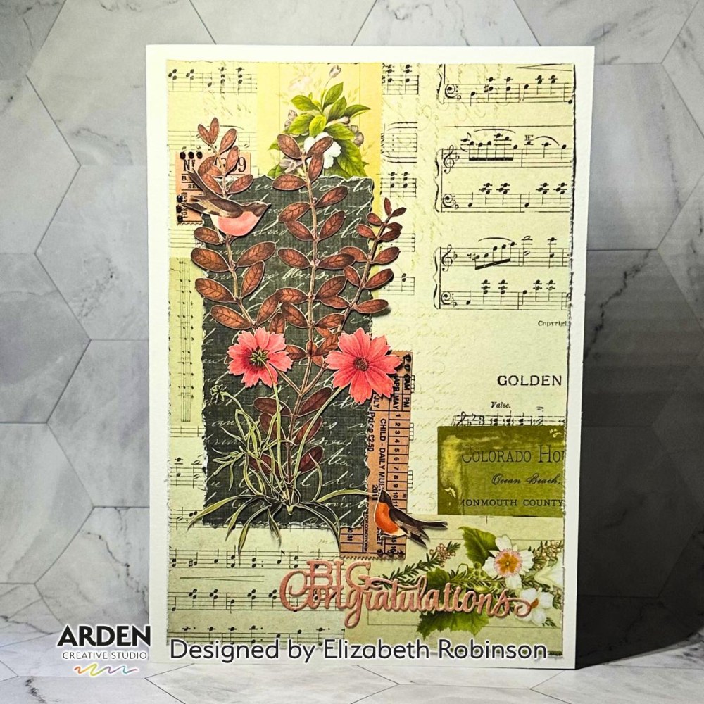 ACSPP0003-3