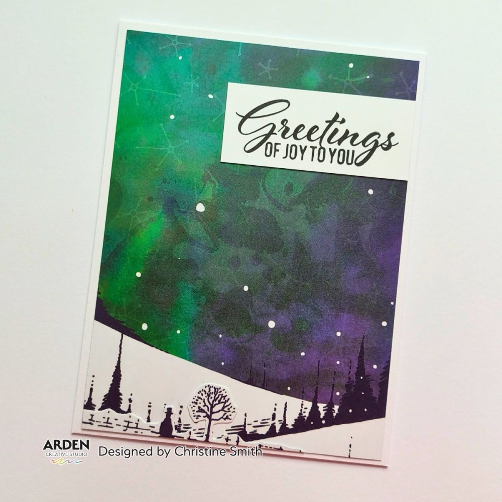 ACSCS0013-8
