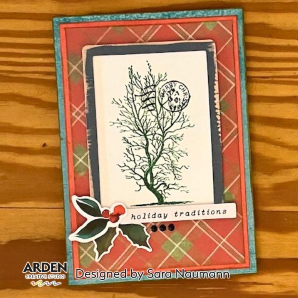 ACSPP0011-4
