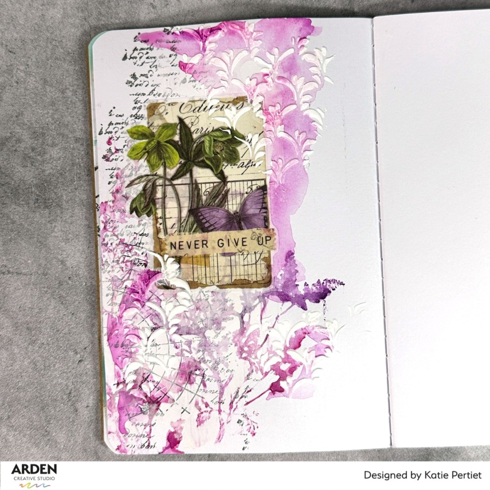 ACSPP0024-5