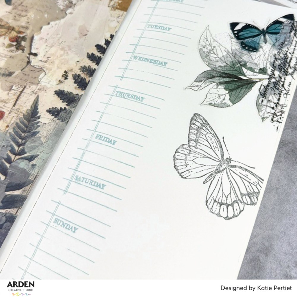 ACSCS0039-2