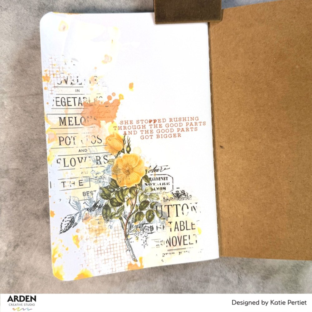 ACSCS0043-3